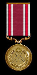 Brigade Command Officer